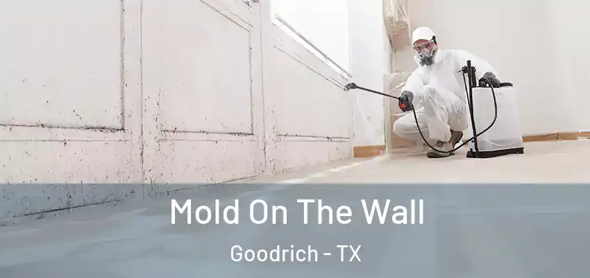 Mold On The Wall Goodrich - TX
