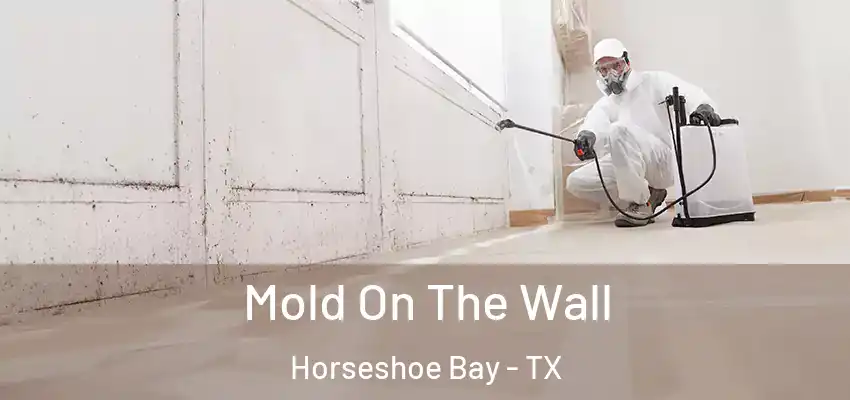 Mold On The Wall Horseshoe Bay - TX