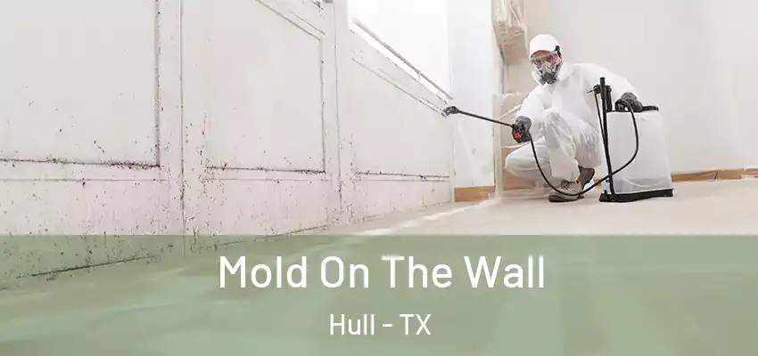  Mold On The Wall Hull - TX