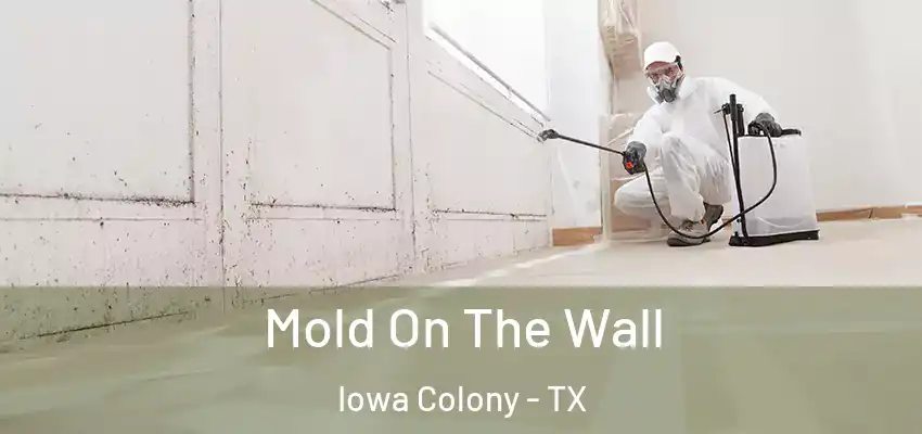 Mold On The Wall Iowa Colony - TX