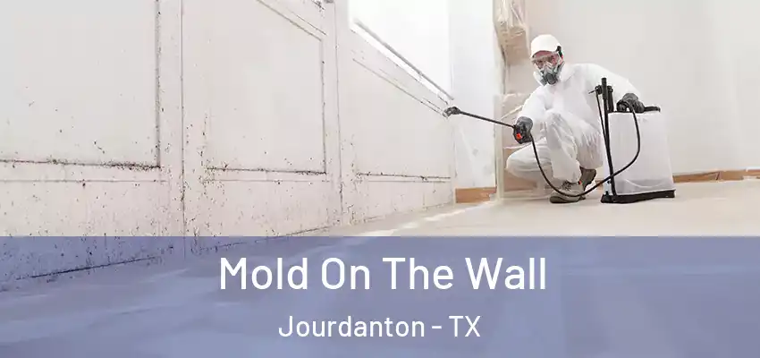  Mold On The Wall Jourdanton - TX