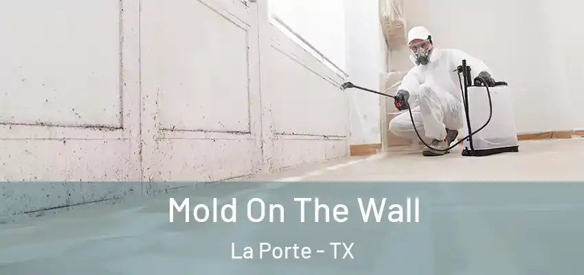 Mold On The Wall La Porte - TX