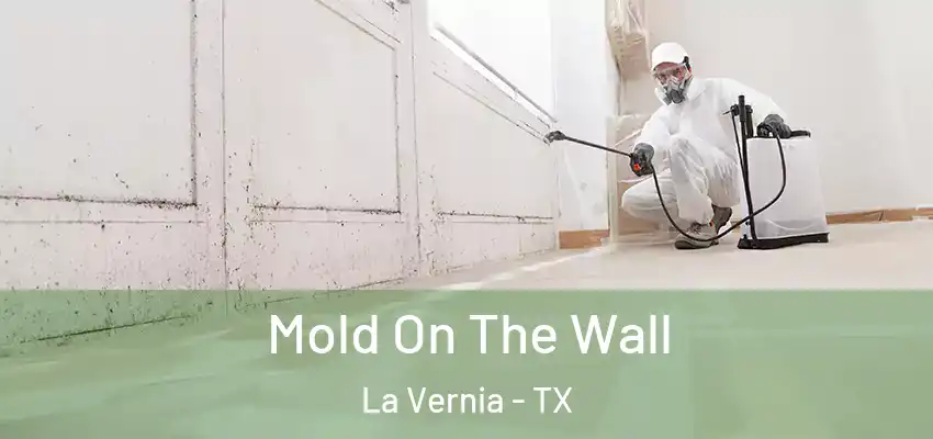  Mold On The Wall La Vernia - TX