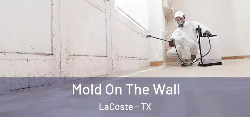 Mold On The Wall LaCoste - TX