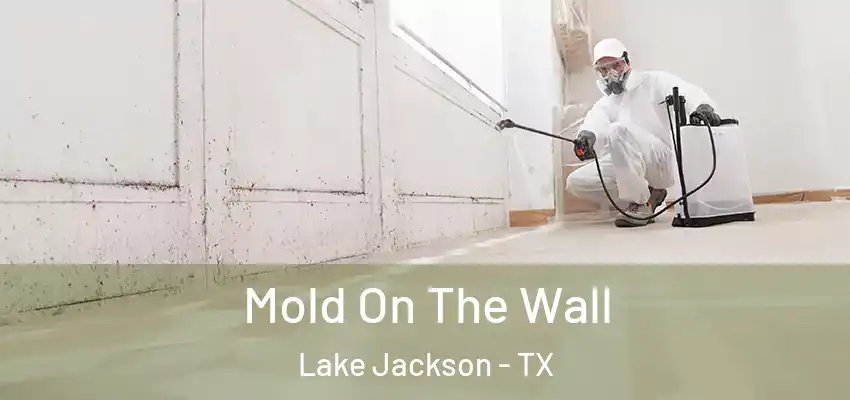  Mold On The Wall Lake Jackson - TX