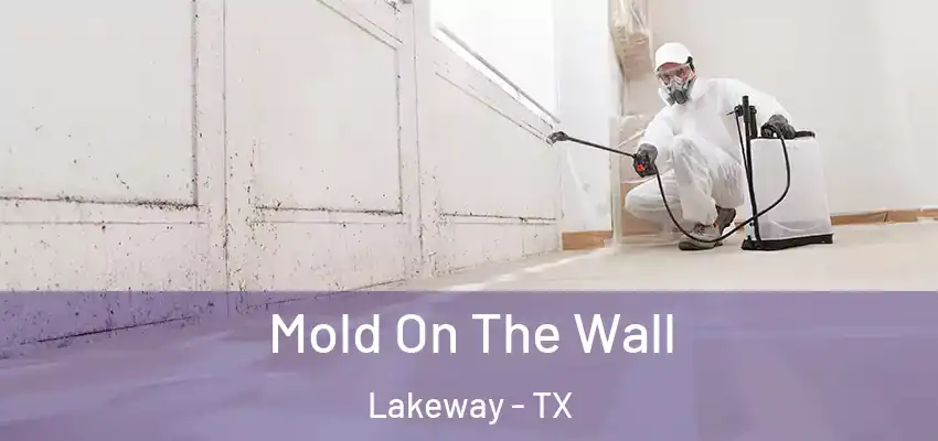  Mold On The Wall Lakeway - TX
