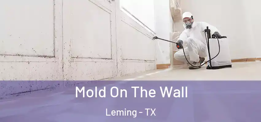  Mold On The Wall Leming - TX