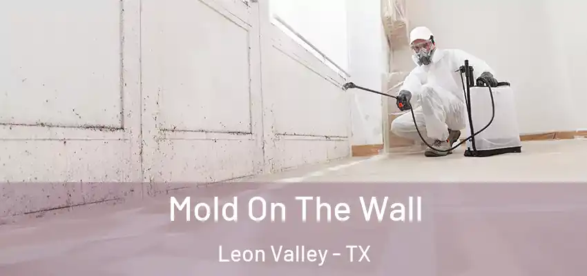  Mold On The Wall Leon Valley - TX