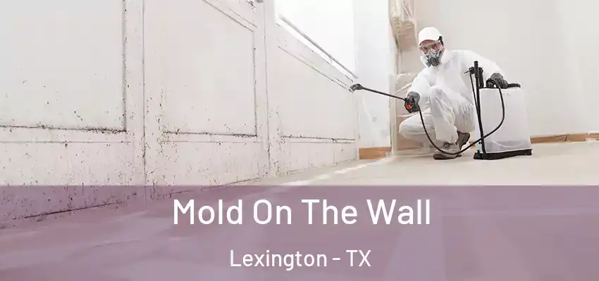  Mold On The Wall Lexington - TX