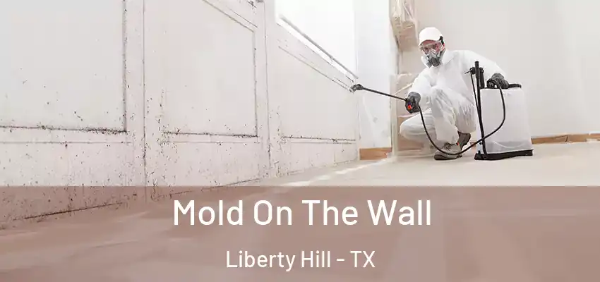 Mold On The Wall Liberty Hill - TX
