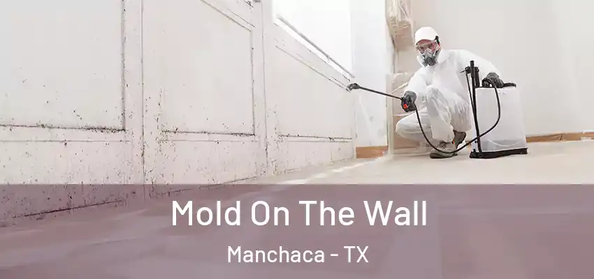  Mold On The Wall Manchaca - TX