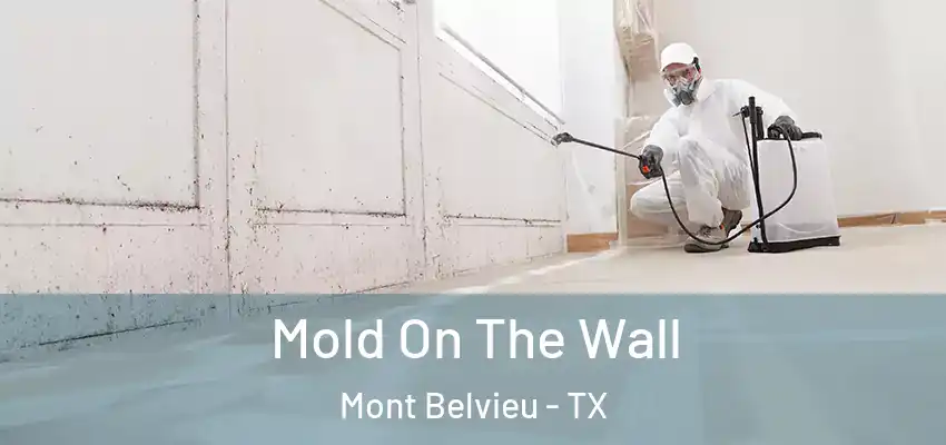 Mold On The Wall Mont Belvieu - TX