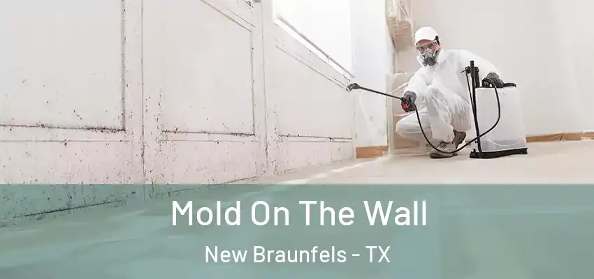  Mold On The Wall New Braunfels - TX
