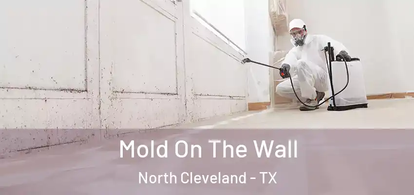 Mold On The Wall North Cleveland - TX