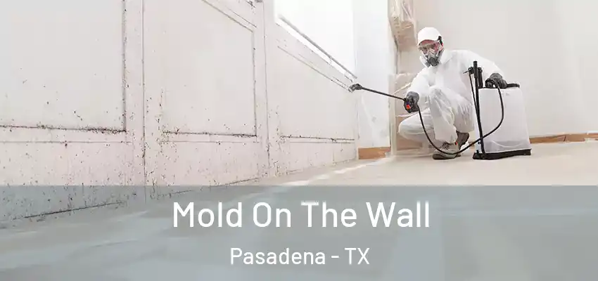  Mold On The Wall Pasadena - TX