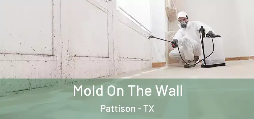 Mold On The Wall Pattison - TX