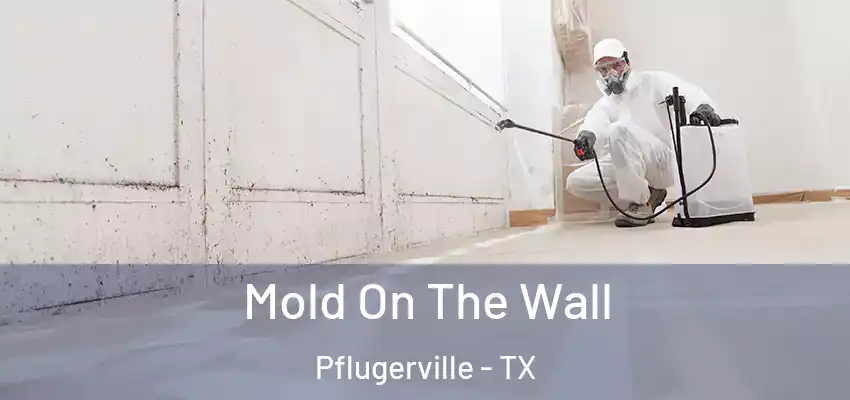 Mold On The Wall Pflugerville - TX