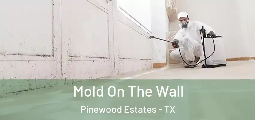  Mold On The Wall Pinewood Estates - TX