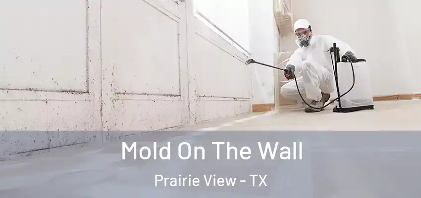  Mold On The Wall Prairie View - TX