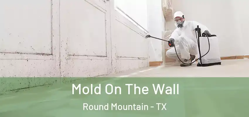 Mold On The Wall Round Mountain - TX