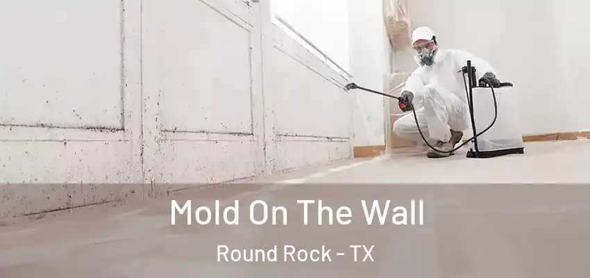  Mold On The Wall Round Rock - TX