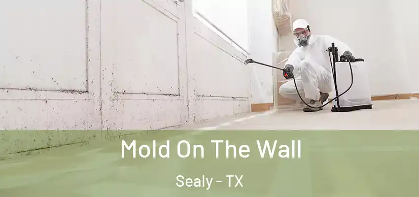Mold On The Wall Sealy - TX