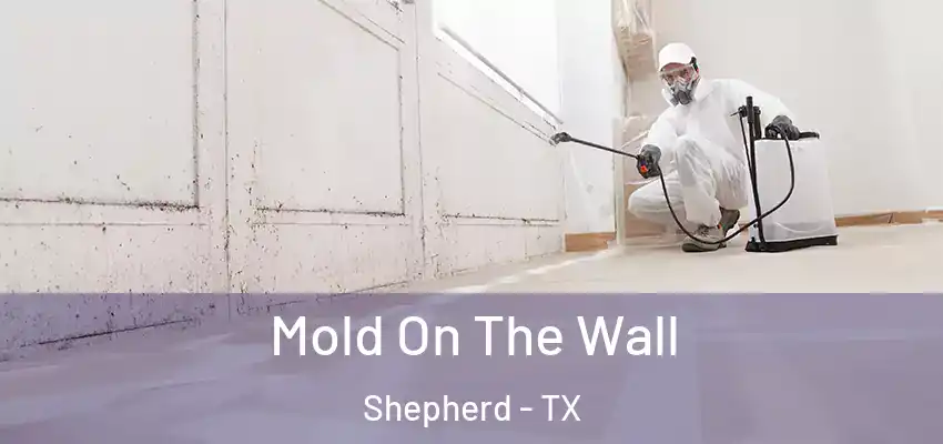  Mold On The Wall Shepherd - TX
