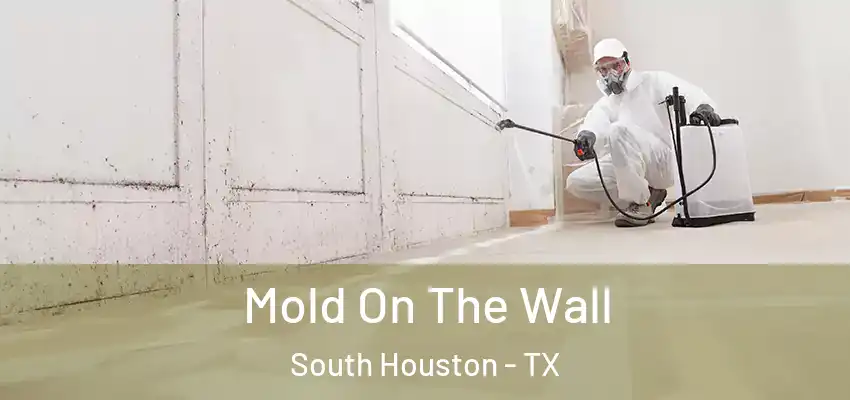 Mold On The Wall South Houston - TX