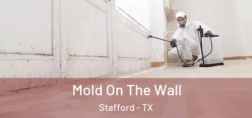  Mold On The Wall Stafford - TX