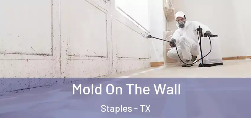  Mold On The Wall Staples - TX