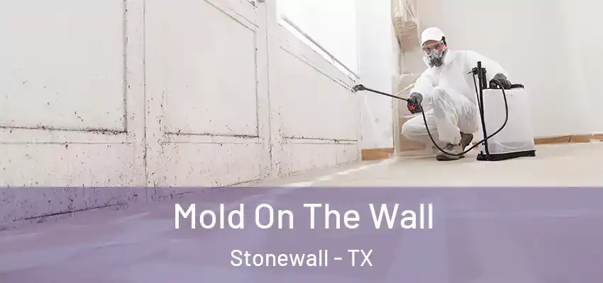  Mold On The Wall Stonewall - TX