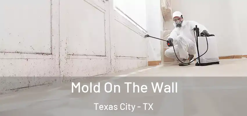  Mold On The Wall Texas City - TX