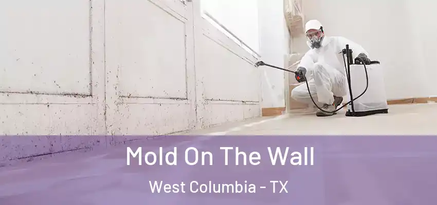 Mold On The Wall West Columbia - TX