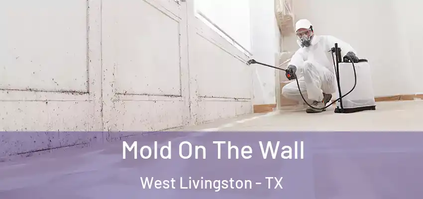 Mold On The Wall West Livingston - TX
