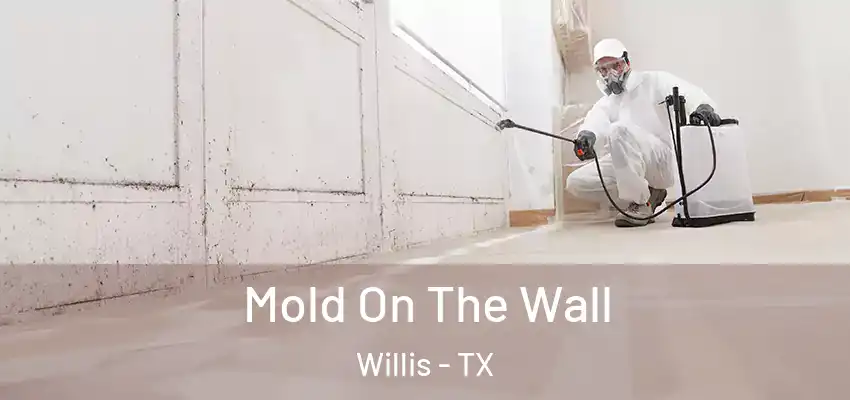  Mold On The Wall Willis - TX