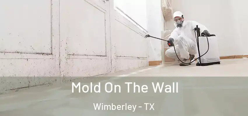  Mold On The Wall Wimberley - TX