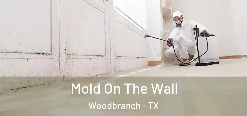  Mold On The Wall Woodbranch - TX