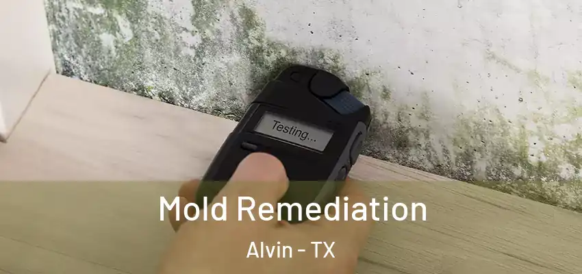 Mold Remediation Alvin - TX
