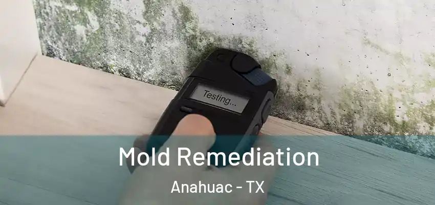 Mold Remediation Anahuac - TX