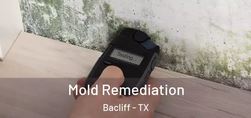 Mold Remediation Bacliff - TX