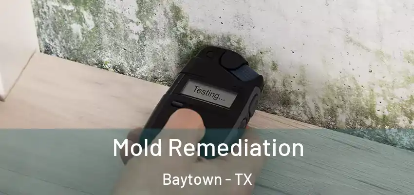 Mold Remediation Baytown - TX