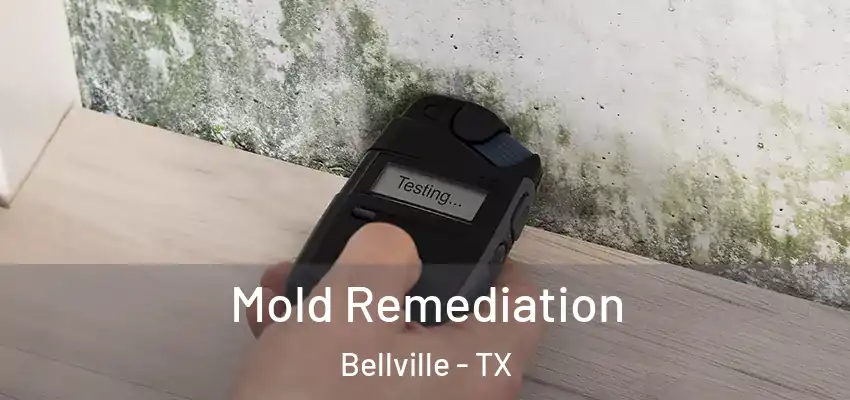 Mold Remediation Bellville - TX