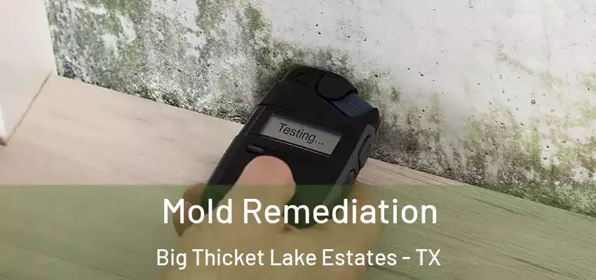  Mold Remediation Big Thicket Lake Estates - TX