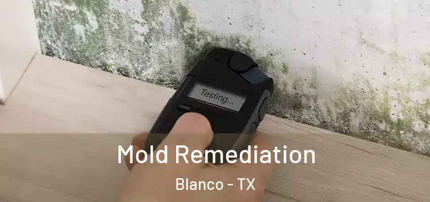 Mold Remediation Blanco - TX