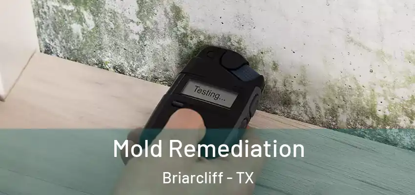  Mold Remediation Briarcliff - TX