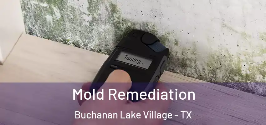 Mold Remediation Buchanan Lake Village - TX