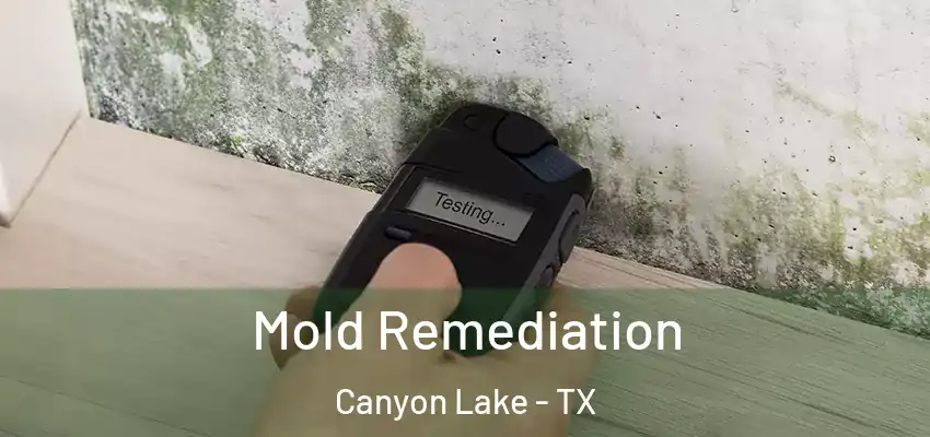 Mold Remediation Canyon Lake - TX