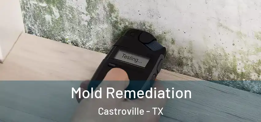  Mold Remediation Castroville - TX