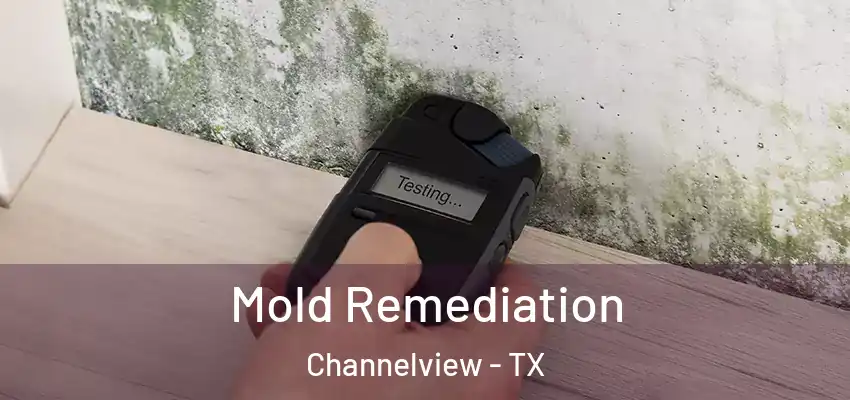Mold Remediation Channelview - TX