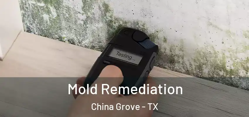 Mold Remediation China Grove - TX